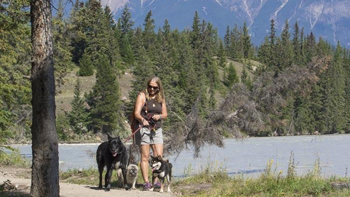 Dog walking